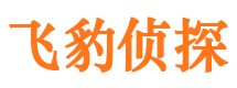 新浦市侦探调查公司